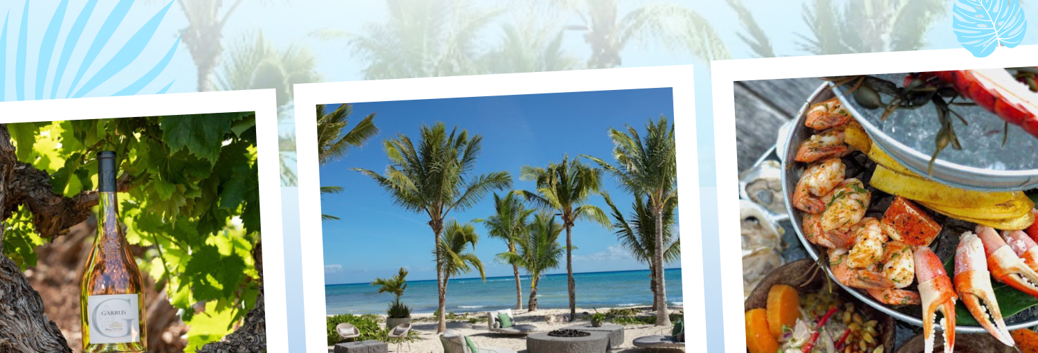 Images of auction items - wine, beach, seafood